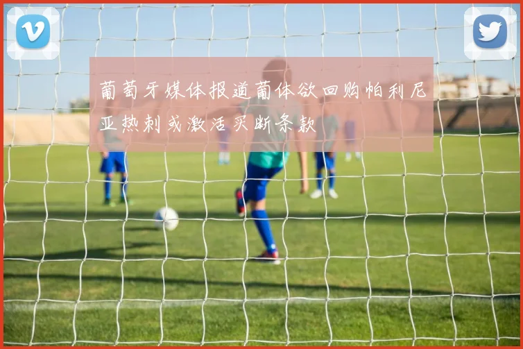 葡萄牙媒体报道葡体欲回购帕利尼亚热刺或激活买断条款
